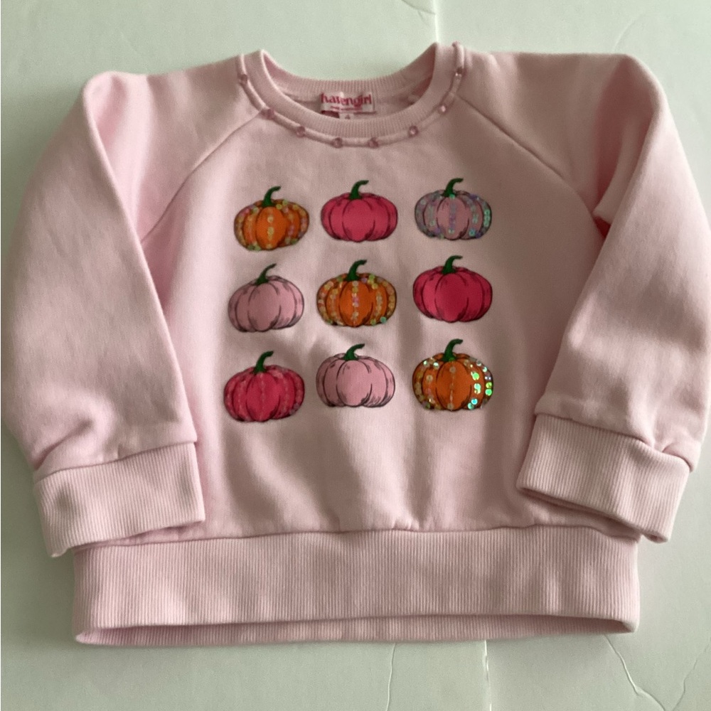 Havengirl Pink Pumpkin Sweatshirt Girls Size 4 Cotton Sequins Fall Harvest